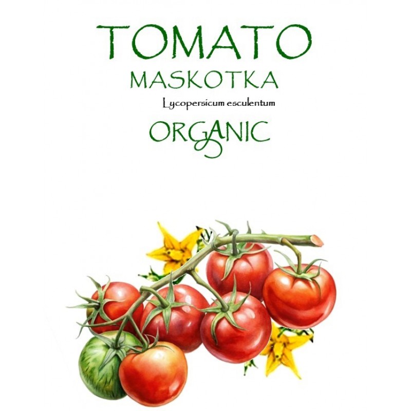 TOMATO - MASKOTKA