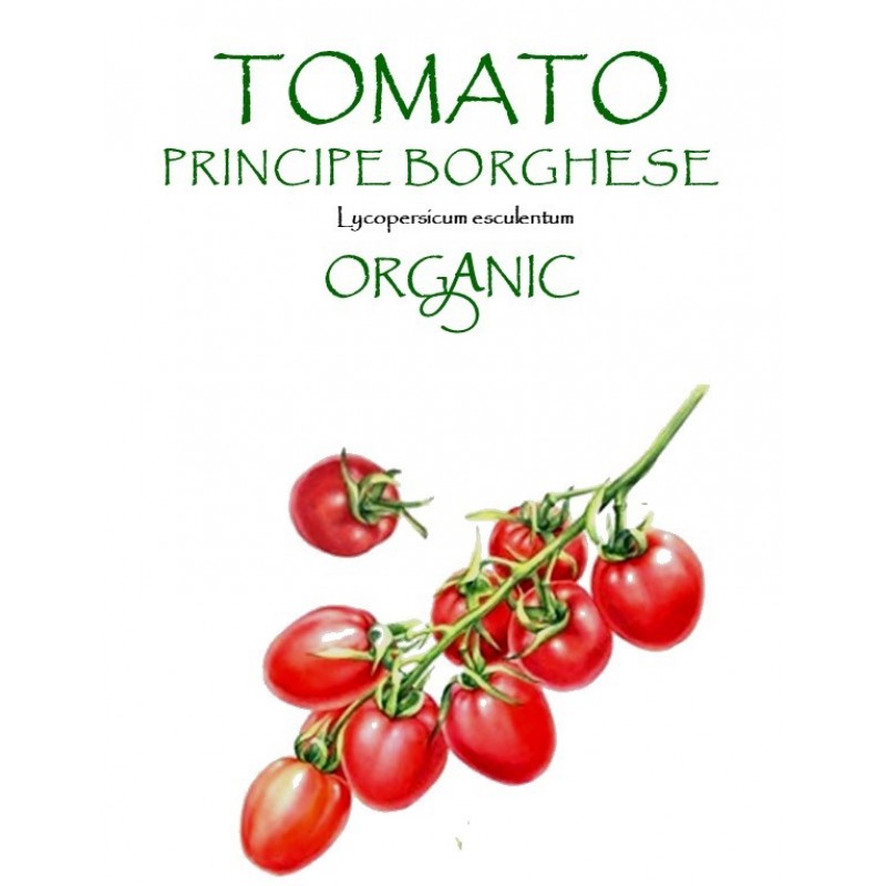 TOMATO -  PRINCIPE BORGHESE  