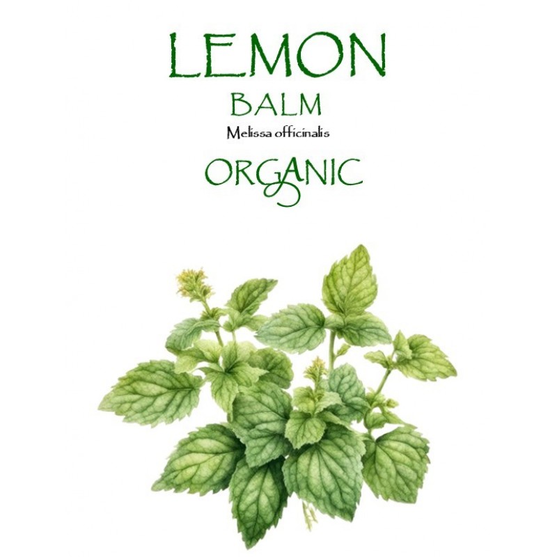 LEMON - BALM