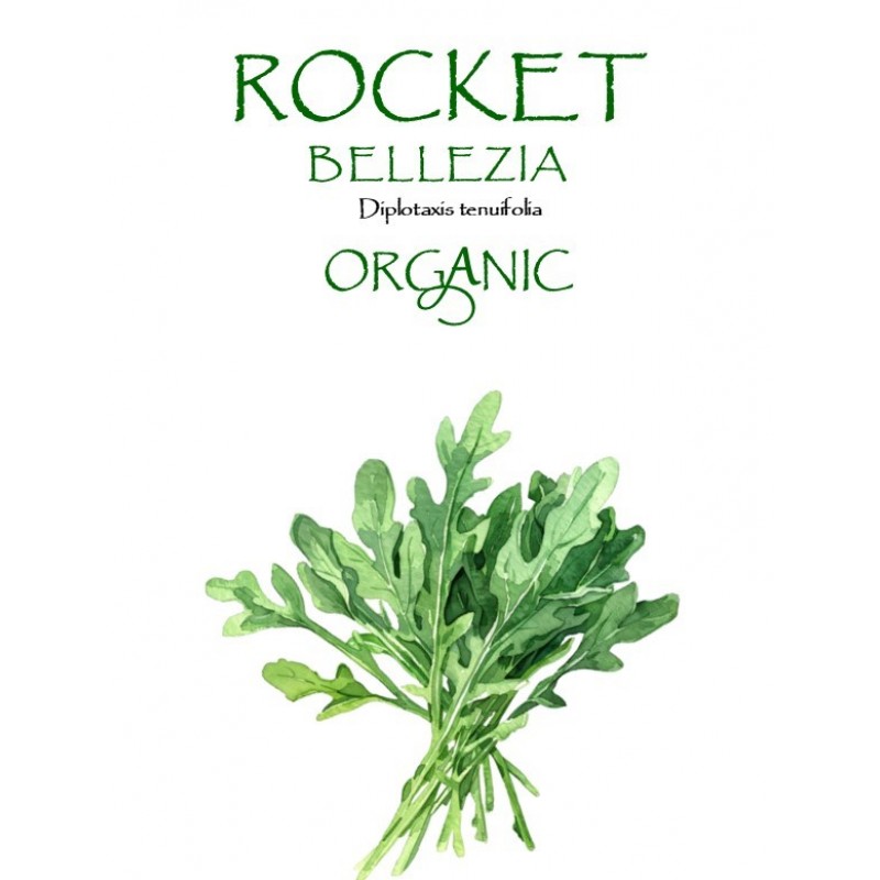 ROCKET - BELLEZIA
