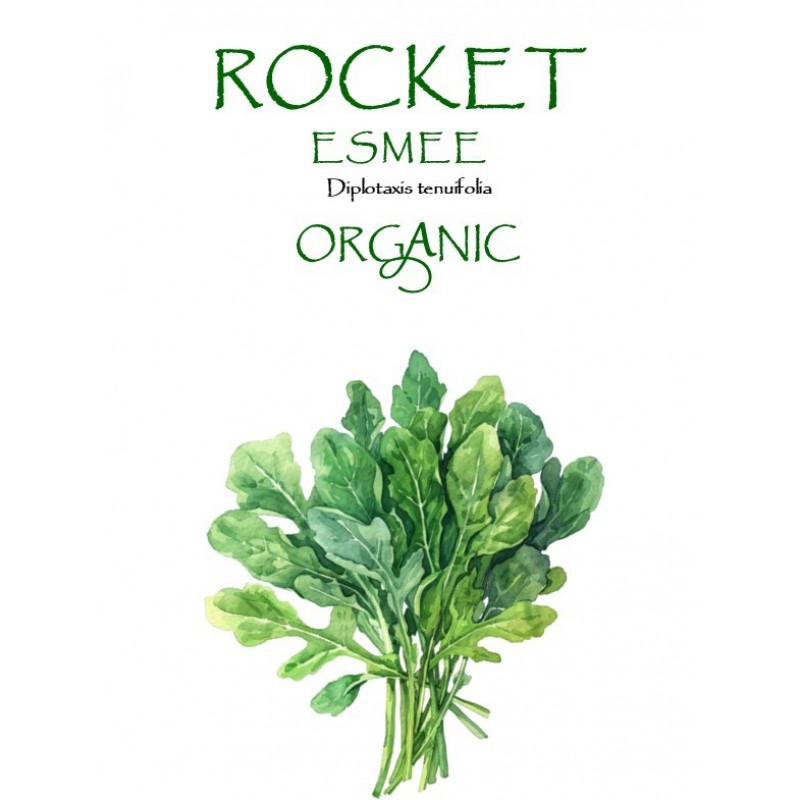 ROCKET - ESMEE