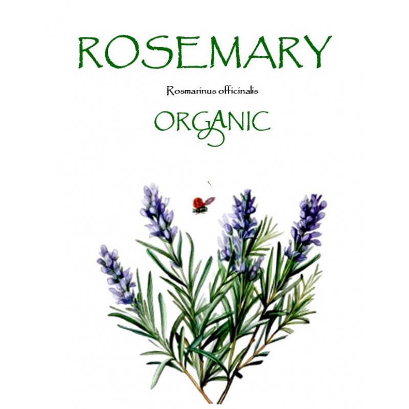 ROSEMARY