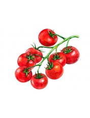 hover image