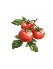 hover image