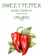 PEPPER SWEET - MARCONI RED