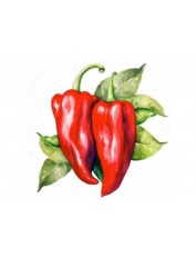 hover image