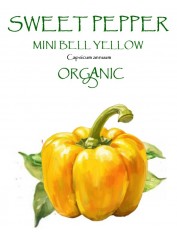 PEPPER SWEET - MINI BELL YELLOW