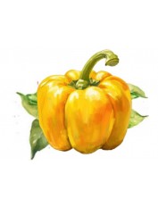 hover image