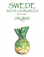 SWEDE - WILHELMSBURGER